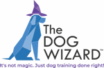 The Dog Wizard