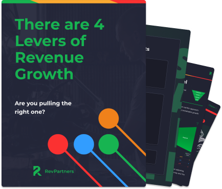 PDF 4 Levers of Revenue Growth