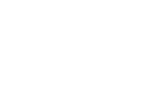 fmg logo - white